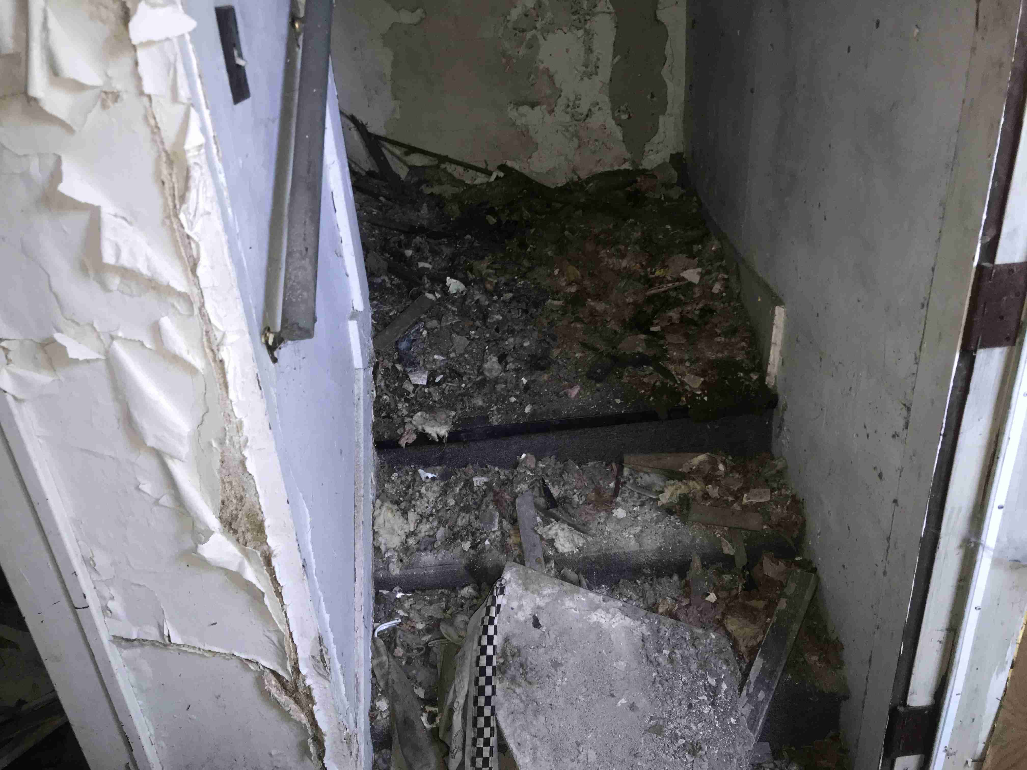 Photo Aug 21, 1 51 39 PM.jpg